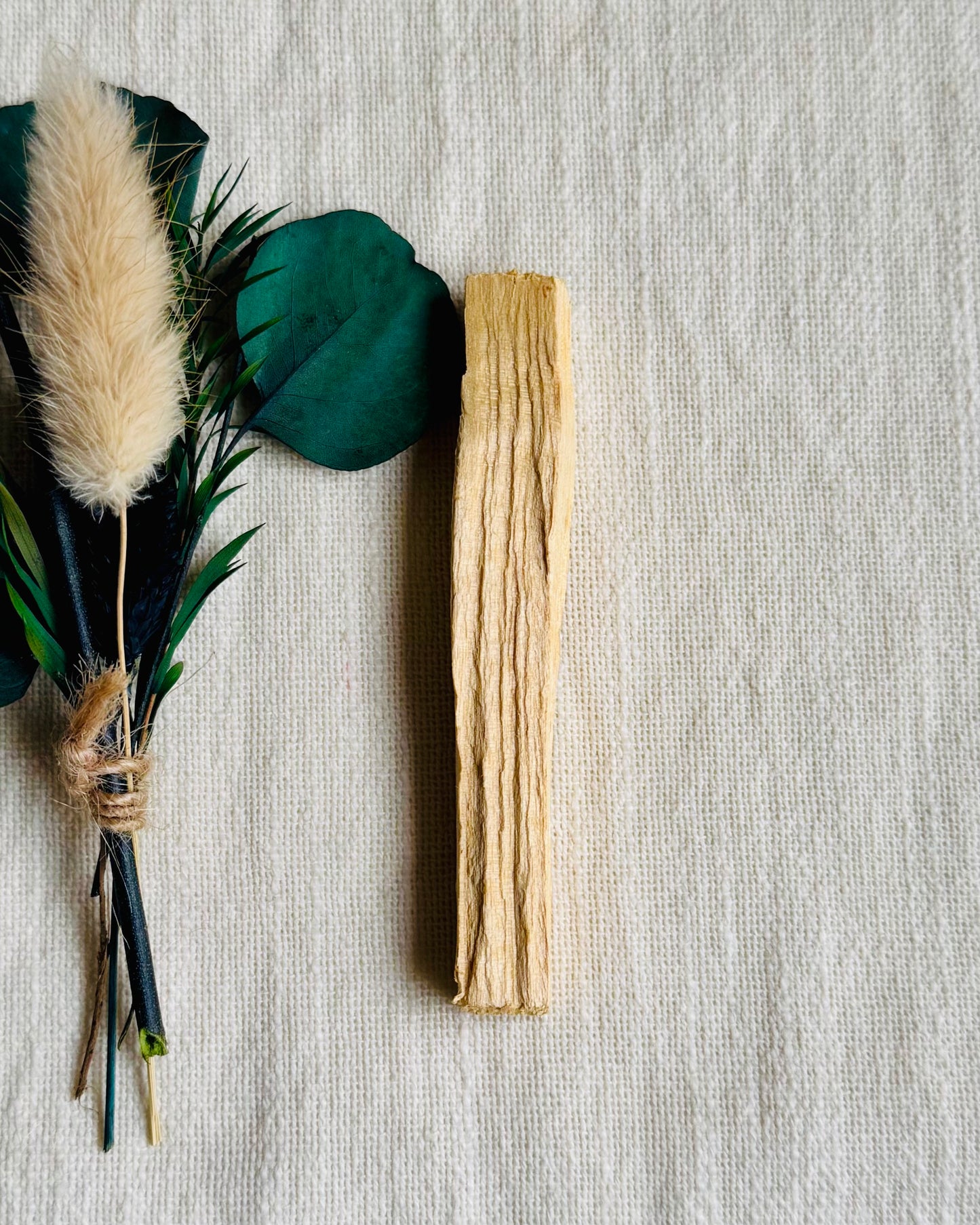 Bâton de Palo Santo naturel – Purification énergétique