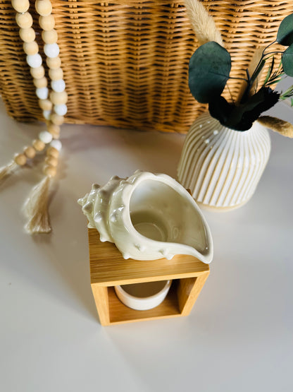 Brule-parfums Coquillage